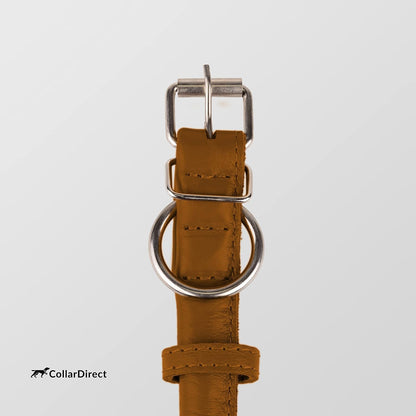 Durable Rolled Leather Dog Collar for Small, Medium, and Large Breeds