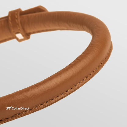 Durable Rolled Leather Dog Collar for Small, Medium, and Large Breeds