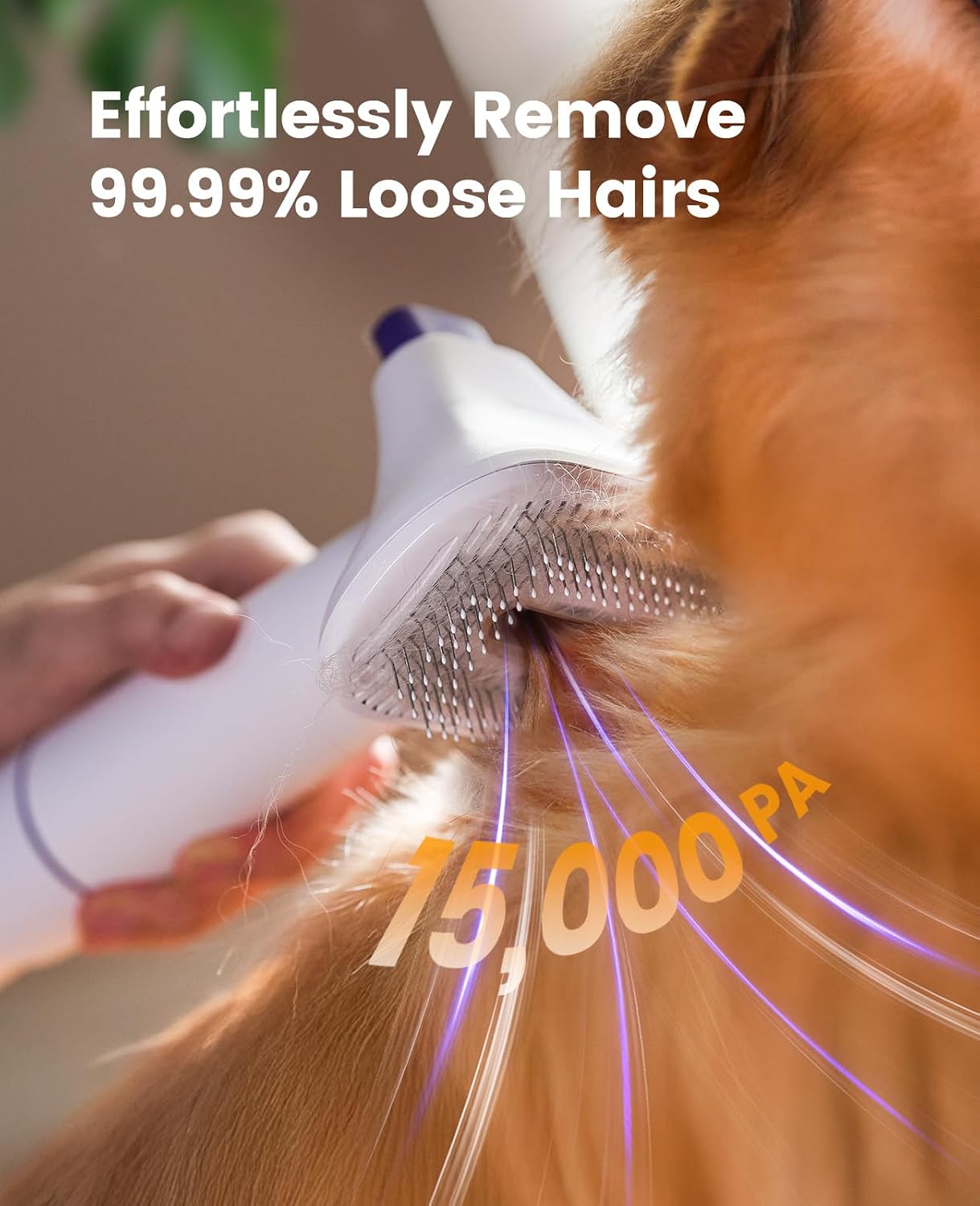 oneisall LM5 Low Noise Pet Grooming Vacuum with 1.5L Dust Cup