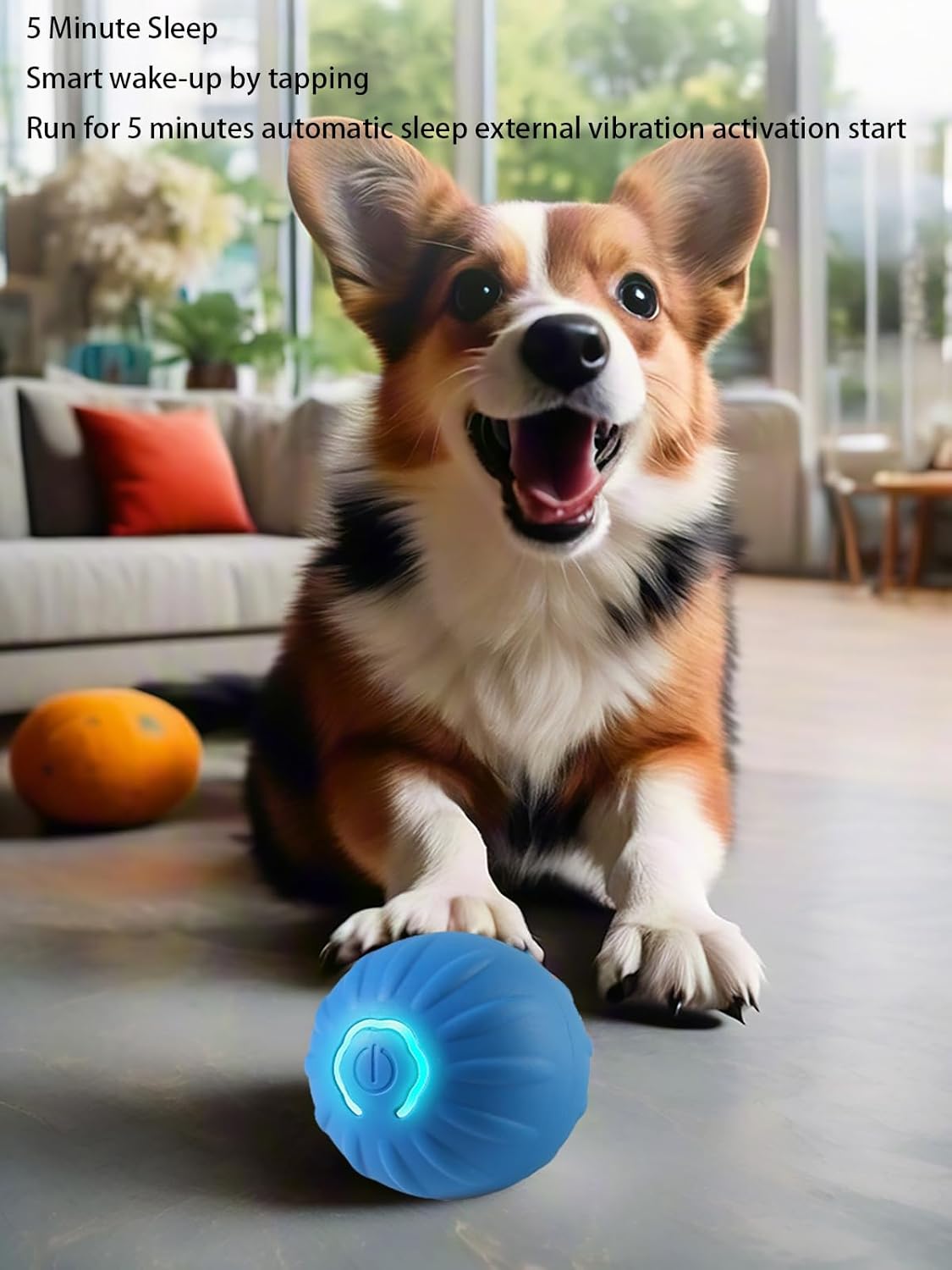 Winb Interactive LED Dog Ball – USB Rechargeable Motion‑Activated Rolling Toy for Small Dogs