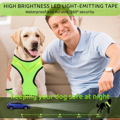 Fancysky Luminous Rechargeable LED Dog Harness for Enhanced Night Safety