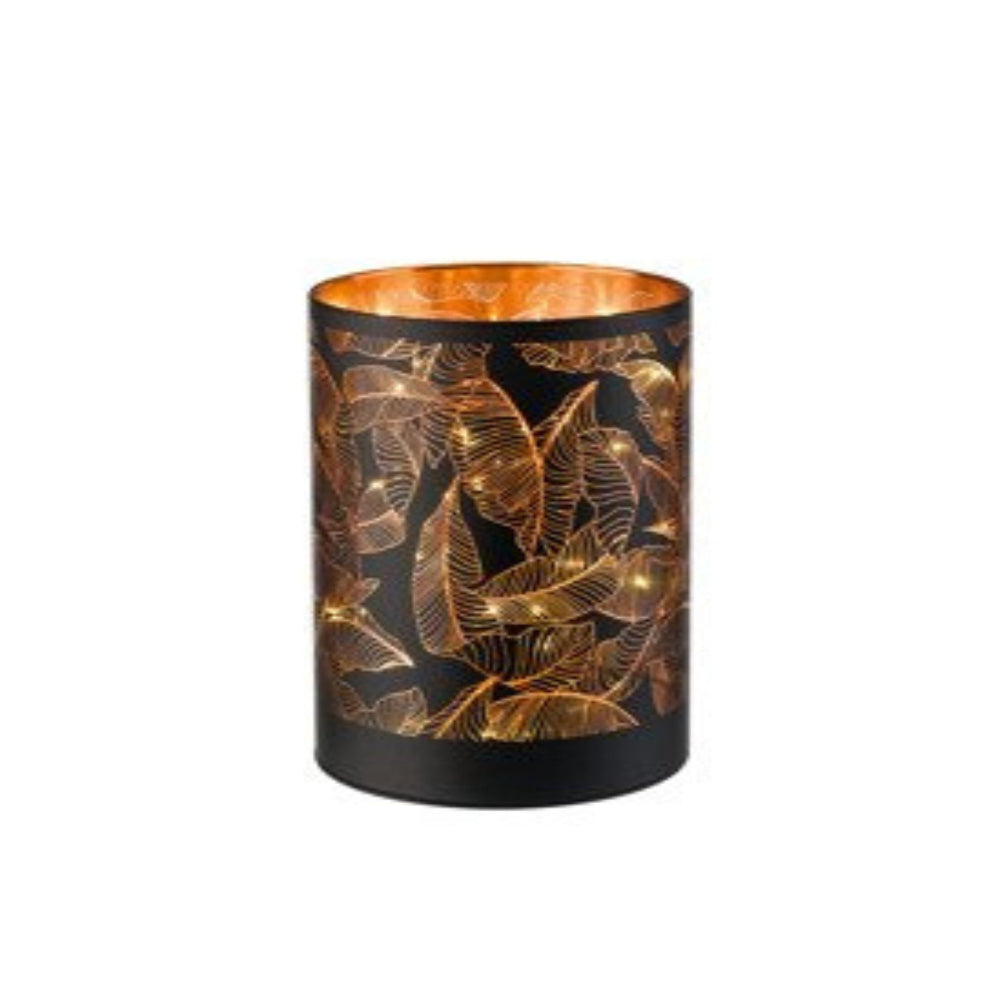 https://cdn.shopify.com/s/files/1/0624/3549/2005/files/750172_11f06136-ba6e-45d8-8310-24179702f812.jpg?v=1749026016