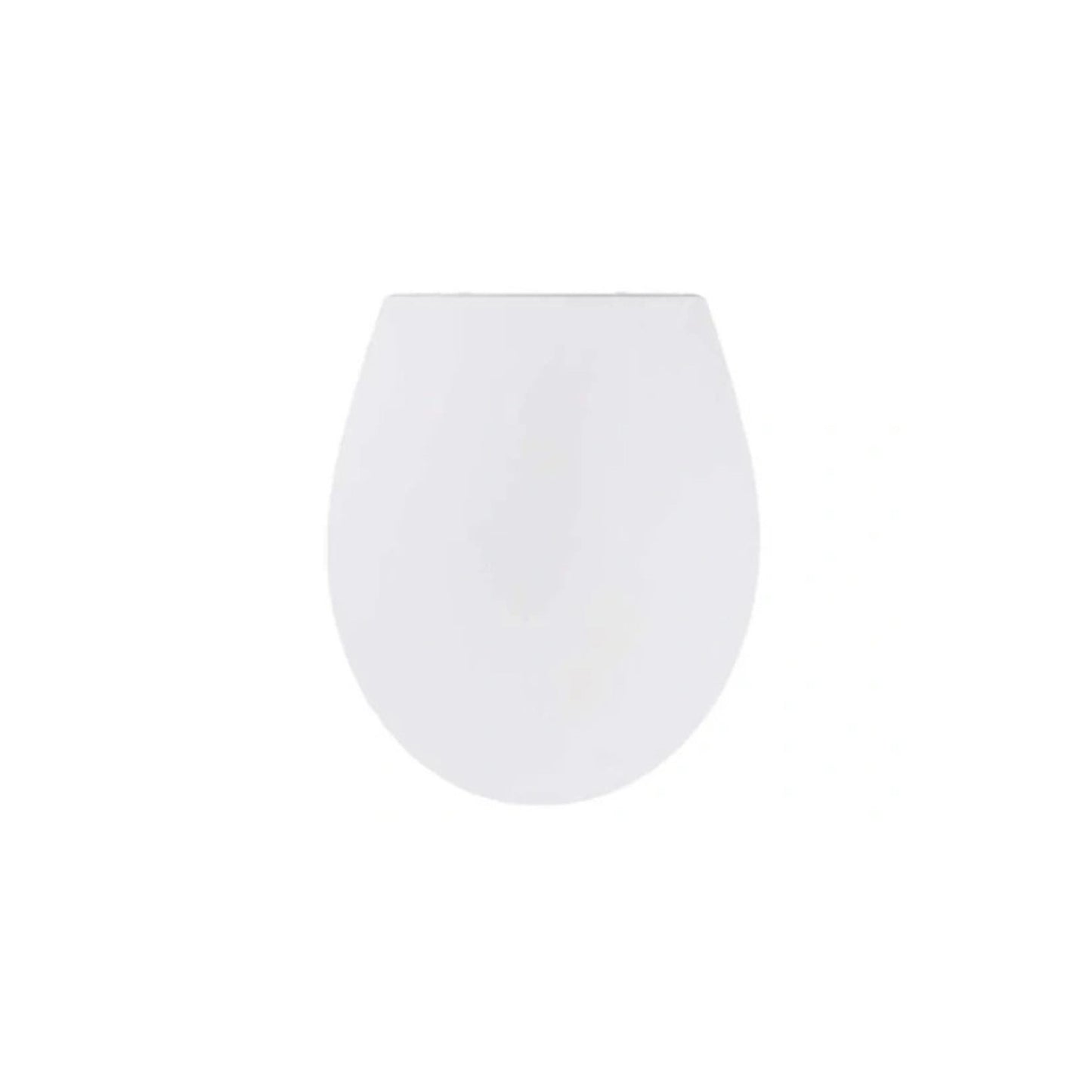 https://cdn.shopify.com/s/files/1/0624/3549/2005/files/753582_14095992-b0a1-4181-85e9-11ed84fb73db.jpg?v=1753499320