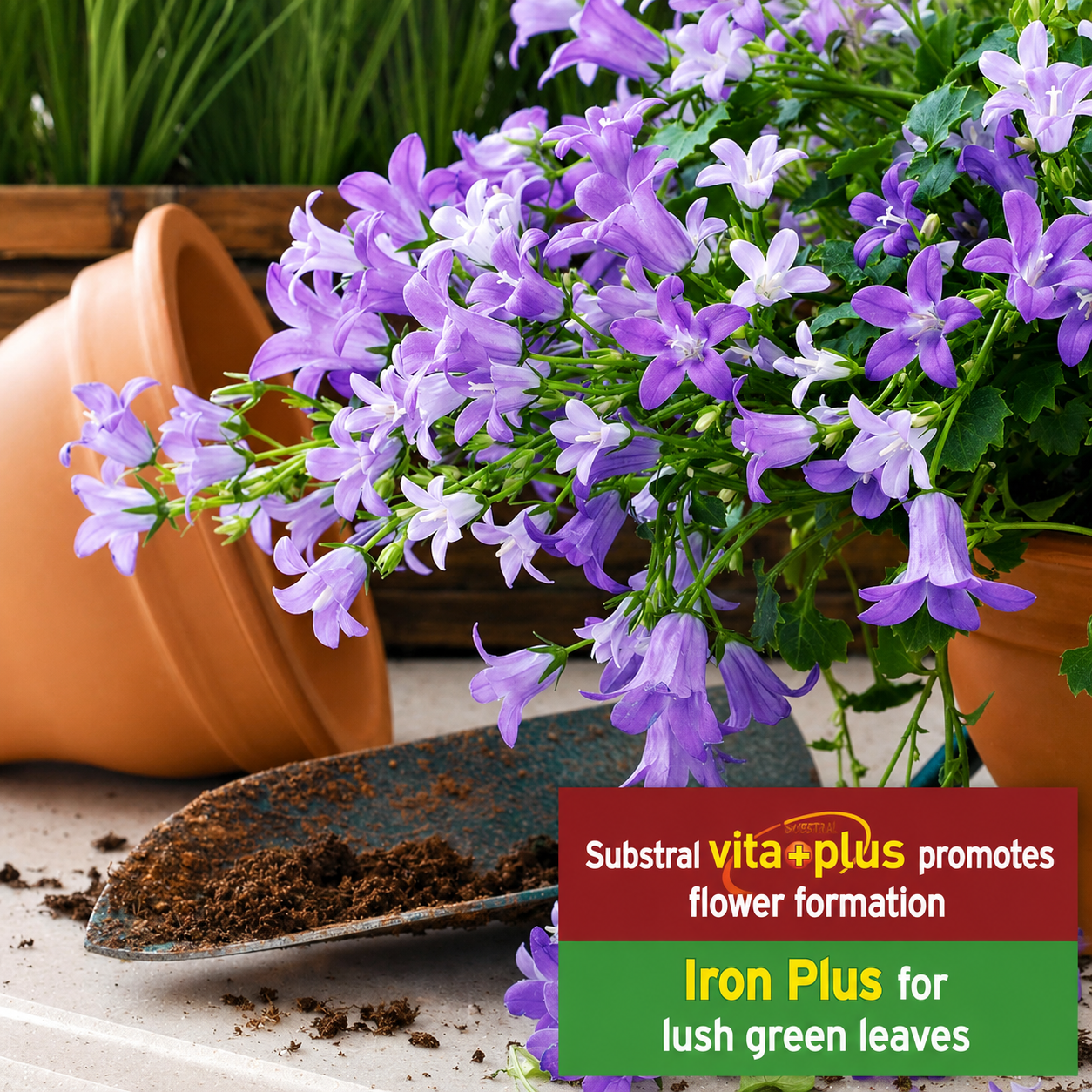 Substral Fertilizer Sticks for Flowering Plants