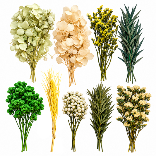 Dried Flowers & Foliage Assortment – DIY Floral Decoration Set