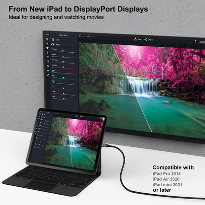 BENFEI 000207grey USB-C to DisplayPort Cable Gray