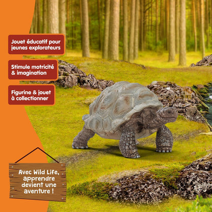 Schleich Wild Life 14824 Giant Turtle Figurine