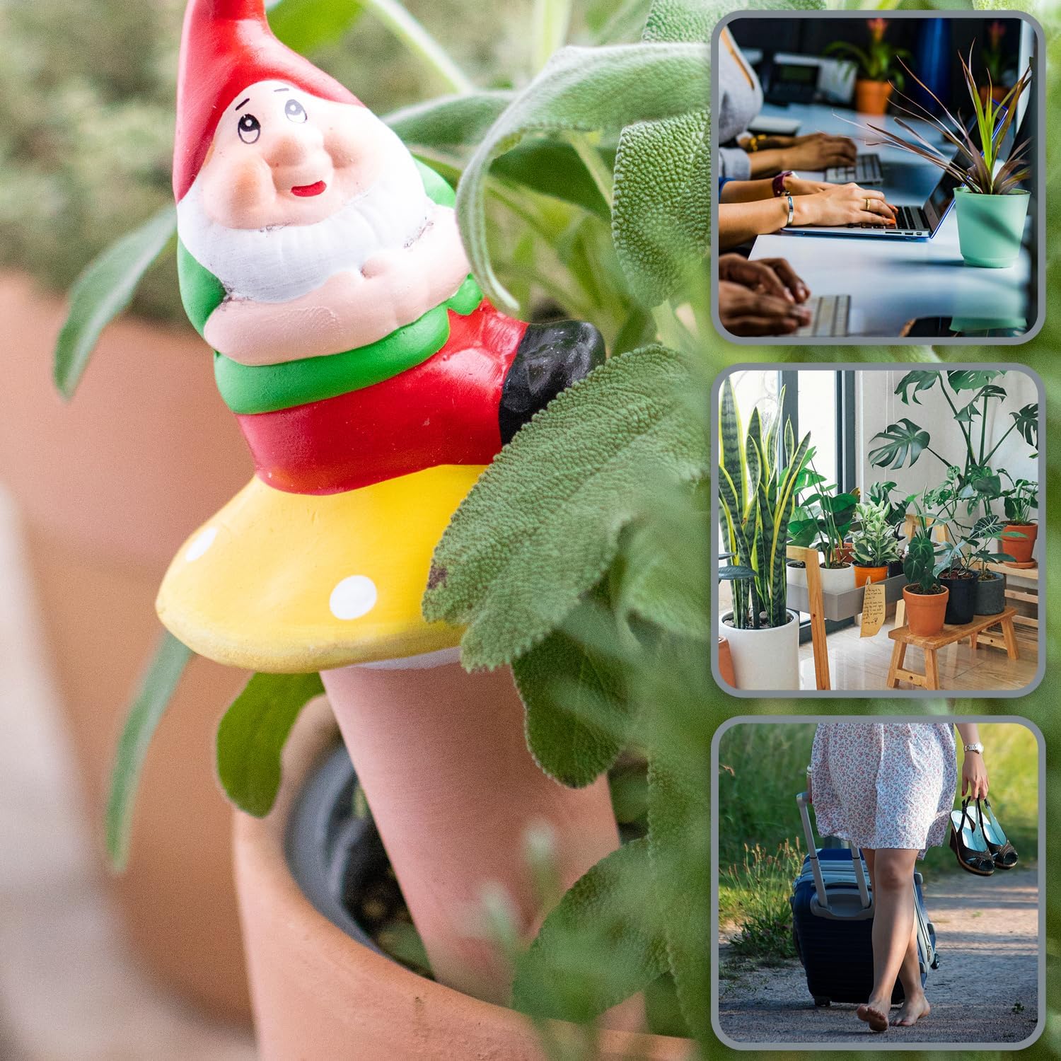 com-four 3-Pack Automatic Indoor Plant Watering Spikes – Cute Dwarf Design