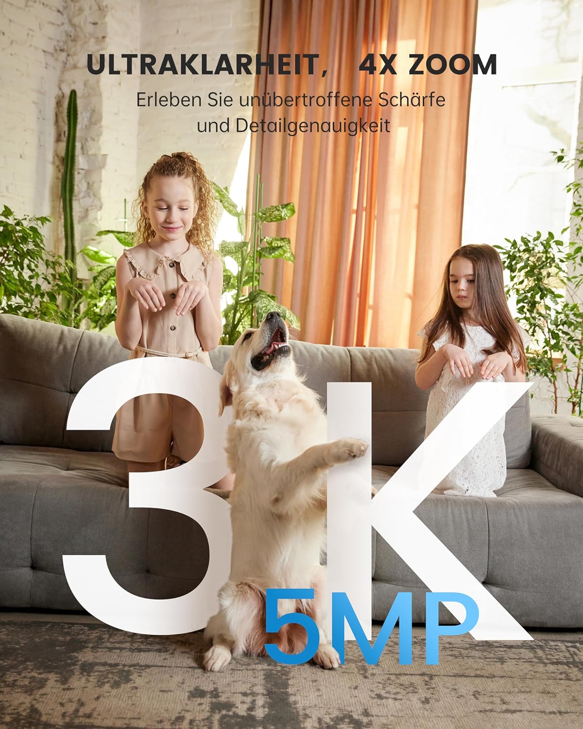 https://m.media-amazon.com/images/I/81Es4SeoO3L._AC_SL1500_.jpg
