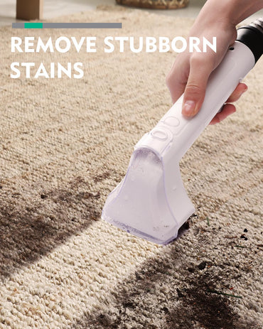 HAUSHOF Portable Handheld Carpet Spot Cleaner for Pet Stains