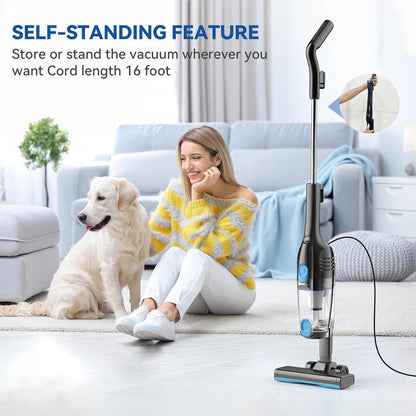 https://m.media-amazon.com/images/I/81L188jMt8L._AC_SL1500_.jpg