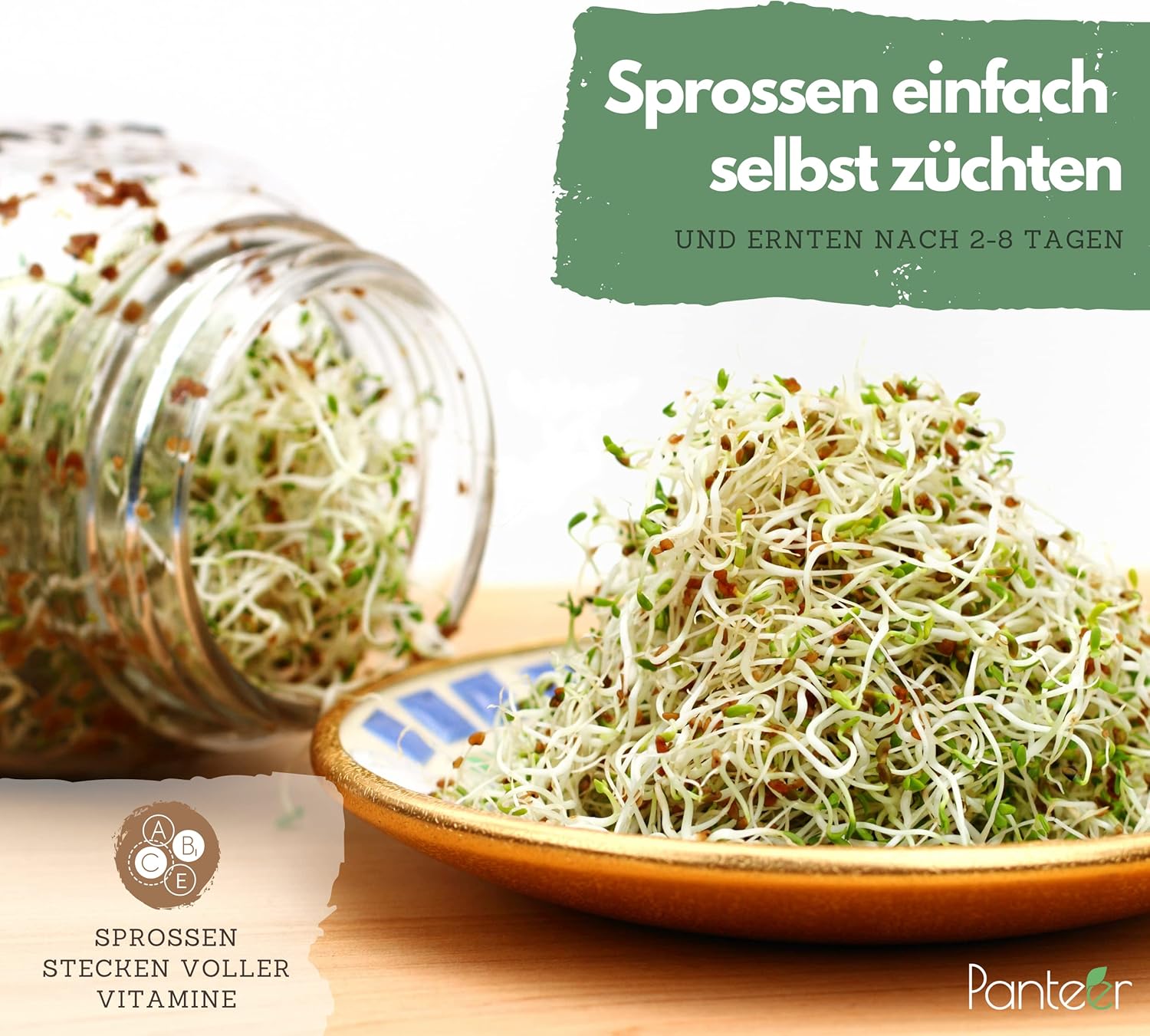 Panteer 940ml Sprout Jar Set with Stainless Lid and Strainer