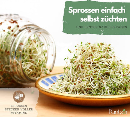 Panteer 940ml Sprout Jar Set with Stainless Lid and Strainer