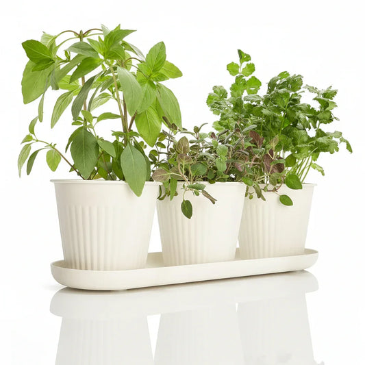 KIBAGA 3-Pot Indoor Herb Garden Planter Set with Tray - Cream - Gomix Brands Outlet