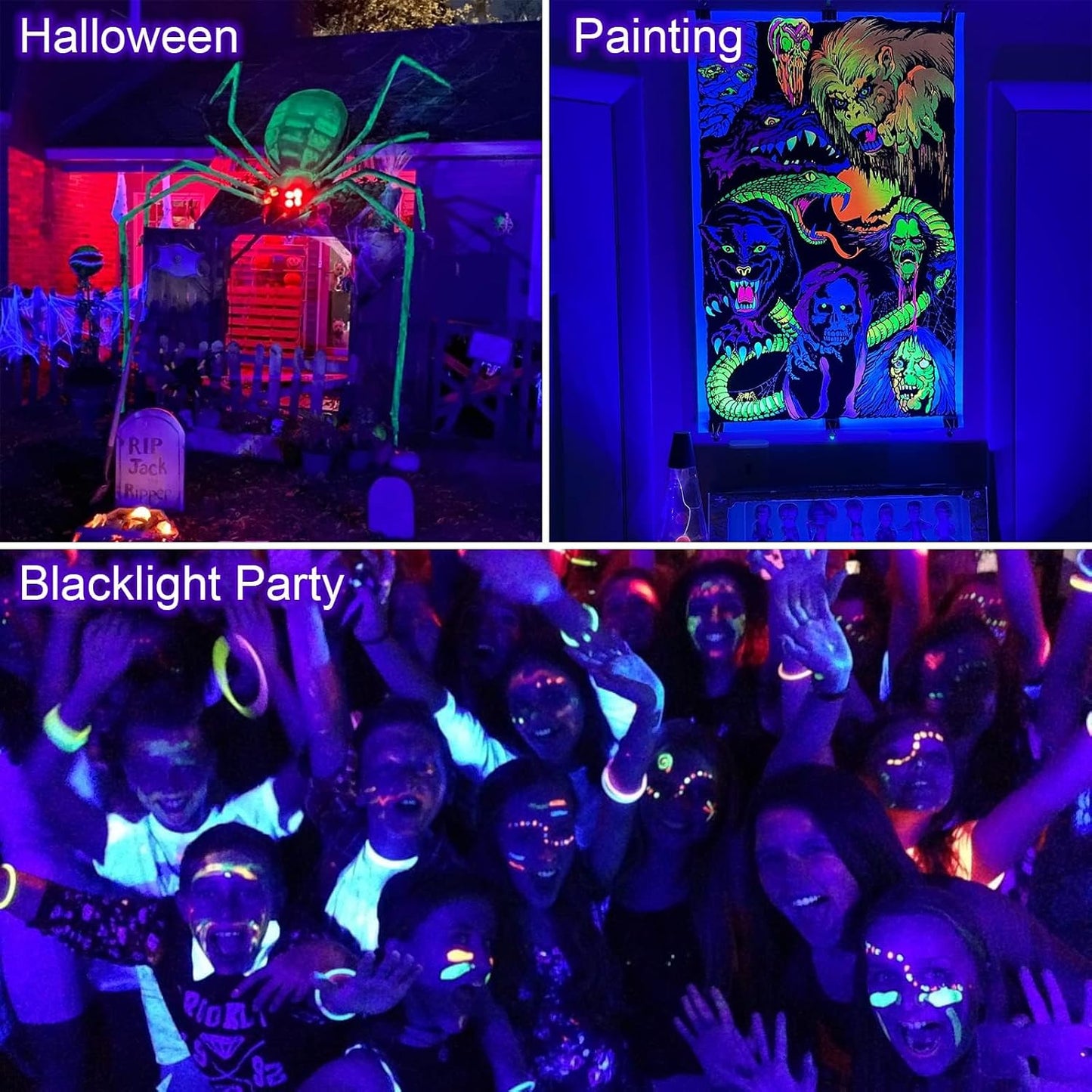 MEEKBOS 60W UV LED Black Light Wall Mount 100 LEDS Clear Finish