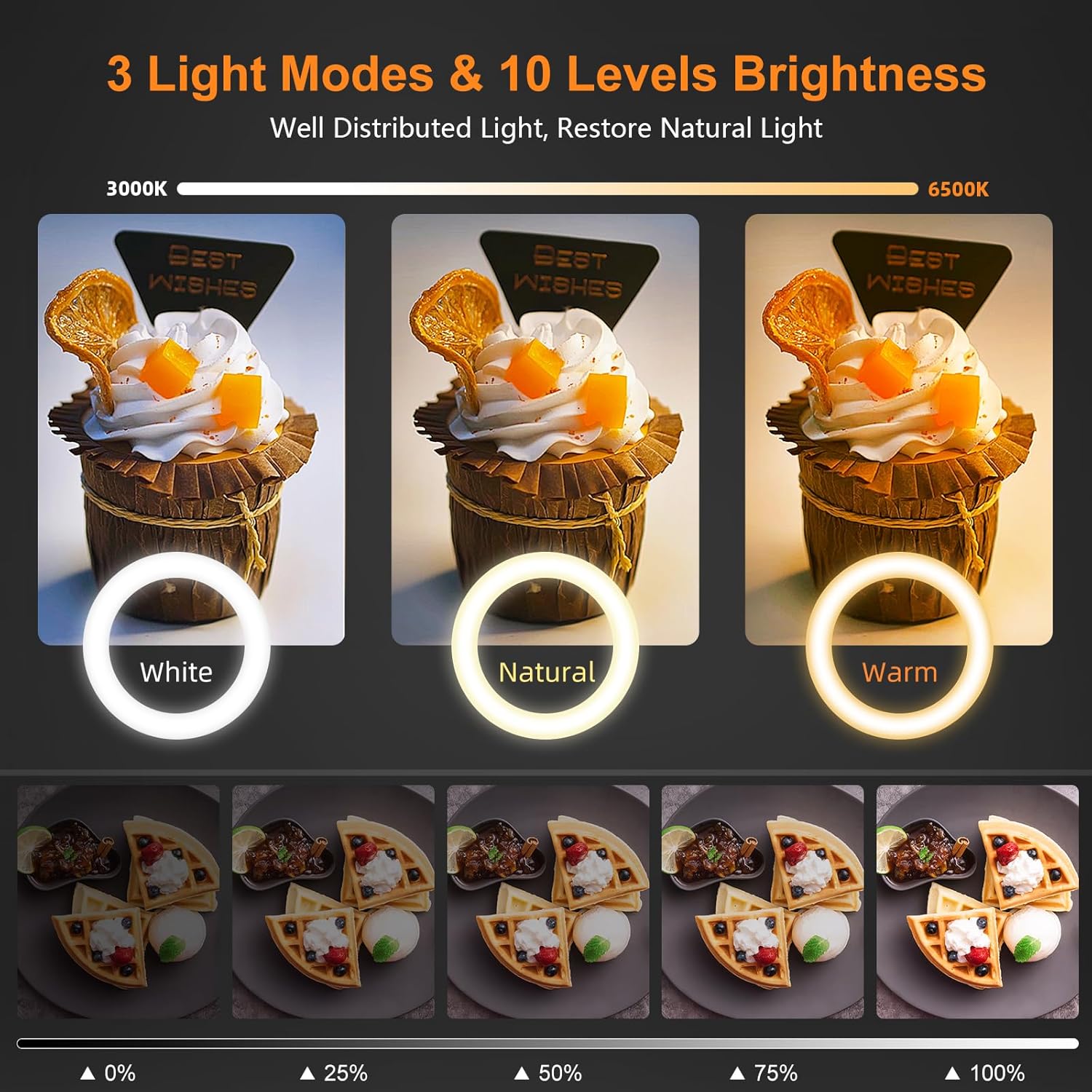 Evershop 10" Adjustable Overhead Ring Light with Tripod