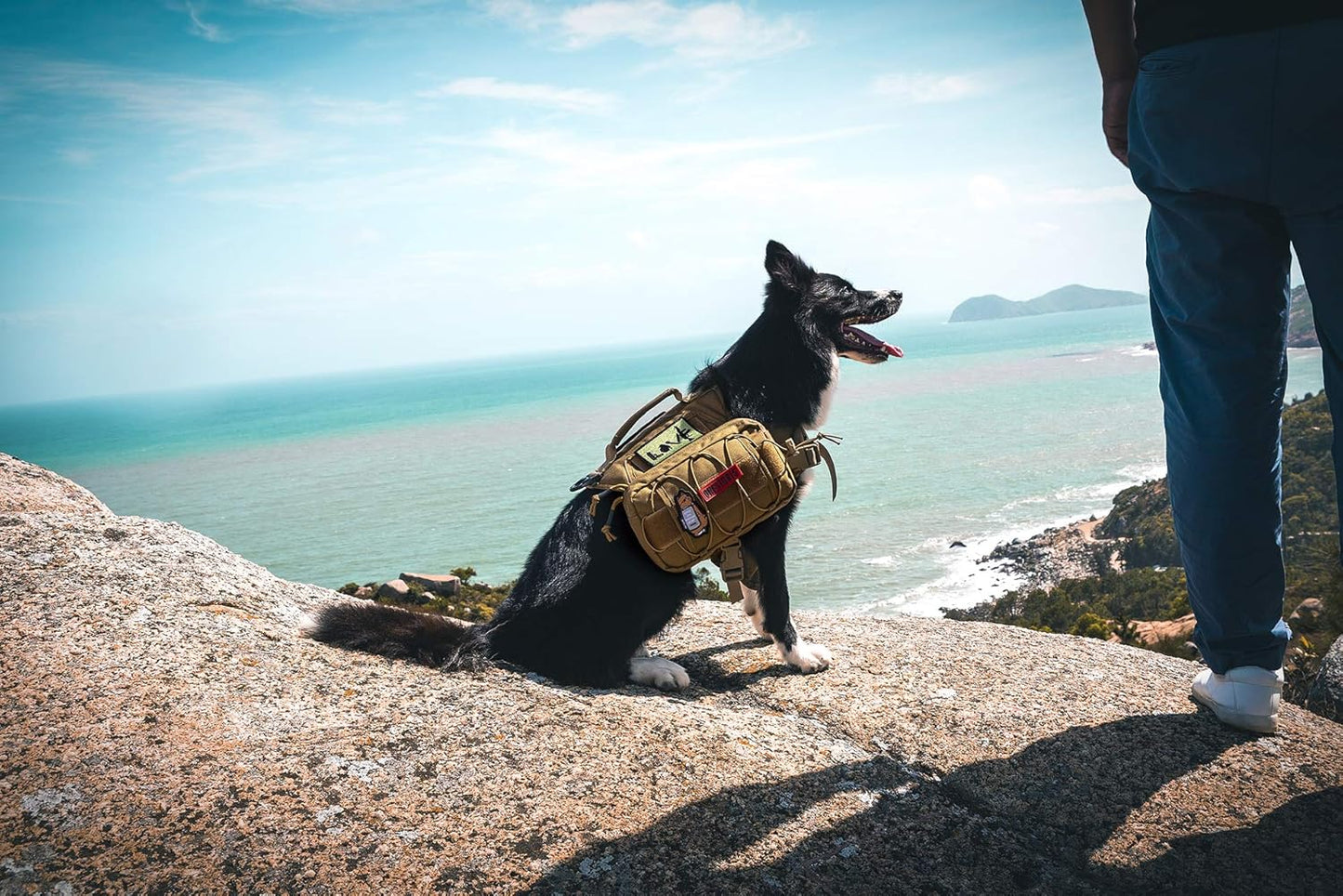 OneTigris Waterproof Dog Raincoat – Durable Nylon Pack for Small to Large Breeds