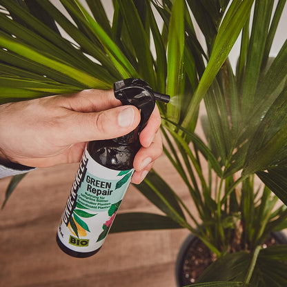 UNDERGREEN by Compo 28311 Green Repair Anti-Chlorosis Spray 250 ml
