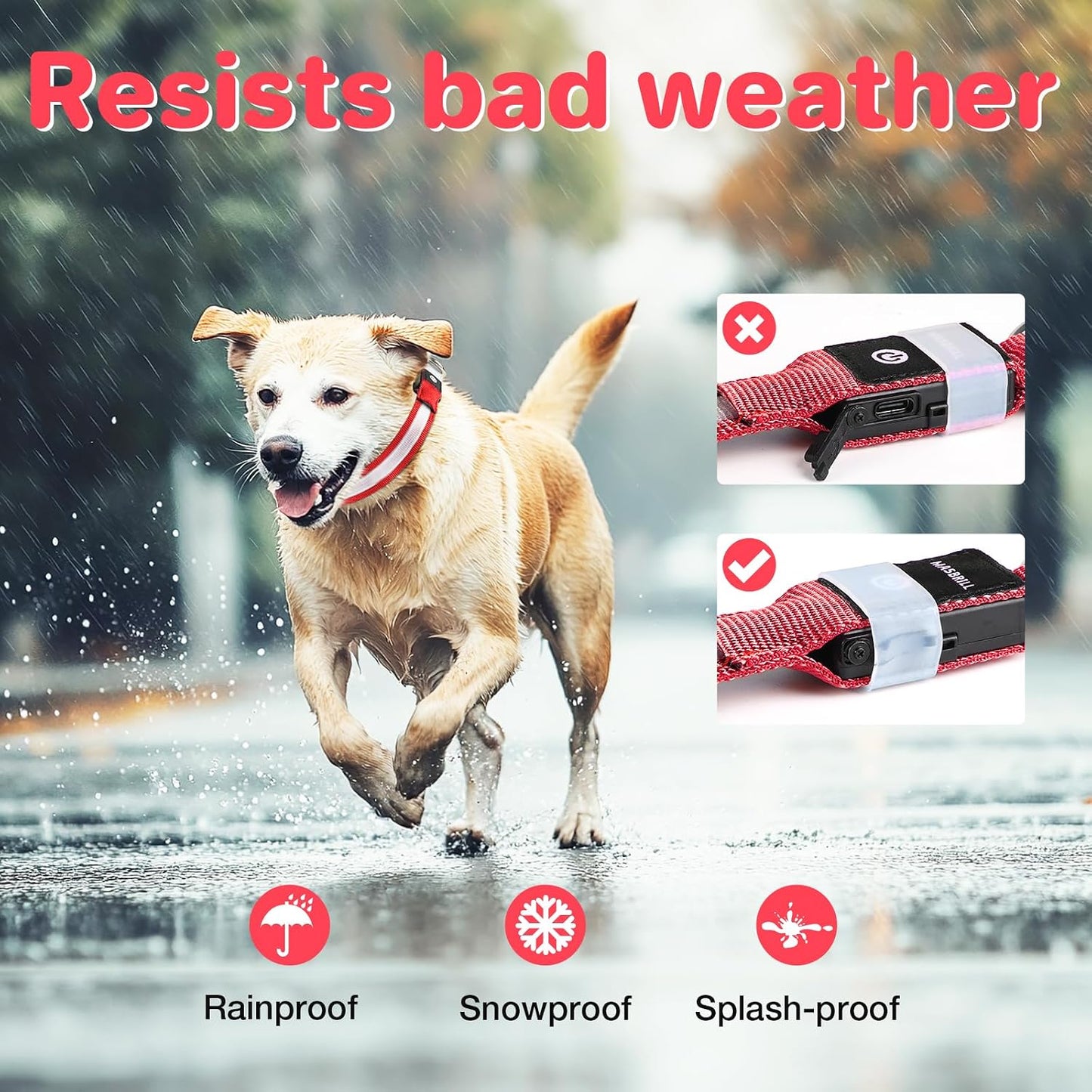 MASBRILL Rechargeable Security LED Pet Collar