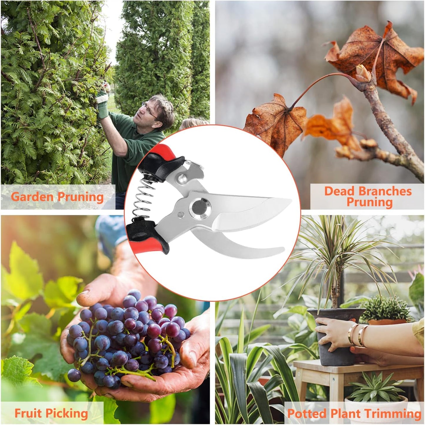 Professional Bypass Pruning Shears Set with Stainless Steel Blades