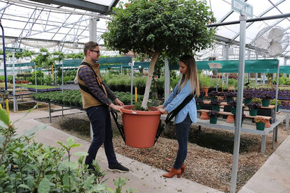 Heavy‑Duty Shoulder Dolly Multi‑Length Replacement Straps – 8‑12‑16 ft Set