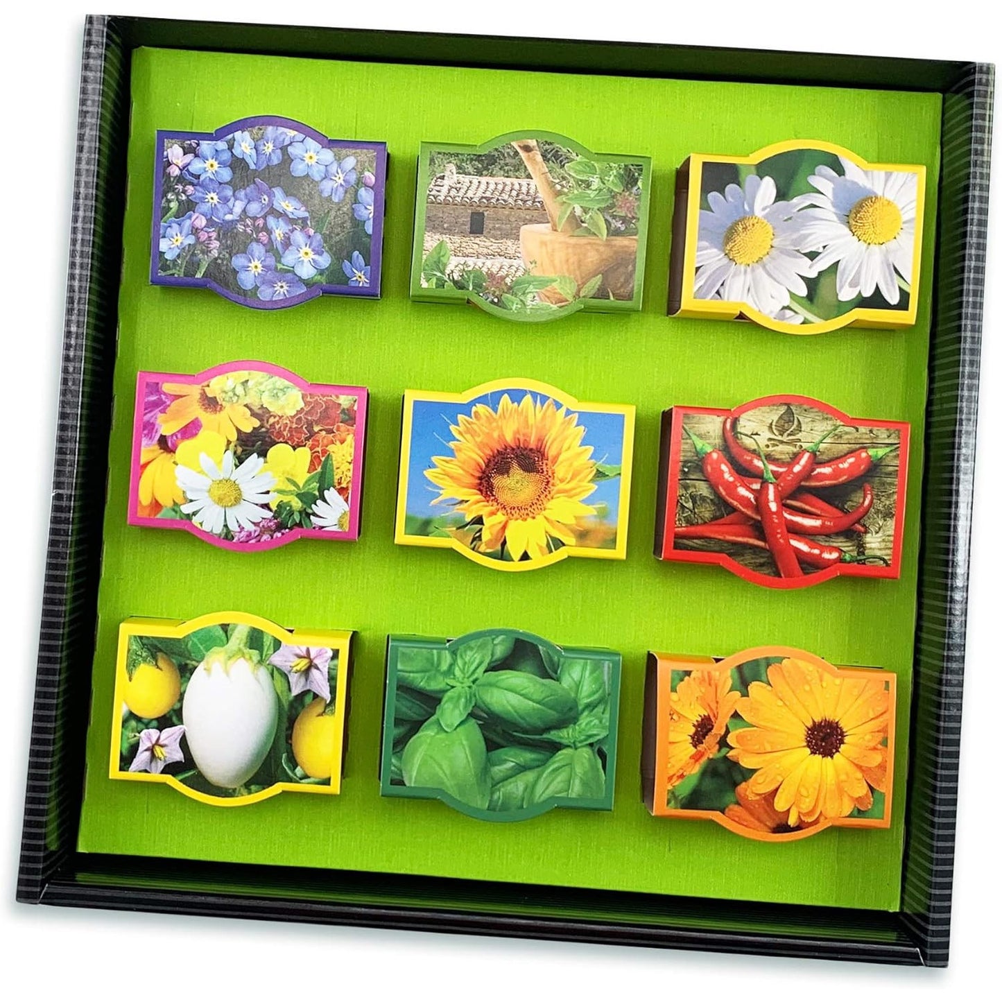 Bull & Bear Mini Plant Set with 9 Clay Pots