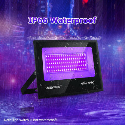 MEEKBOS 60W UV LED Black Light Wall Mount 100 LEDS Clear Finish