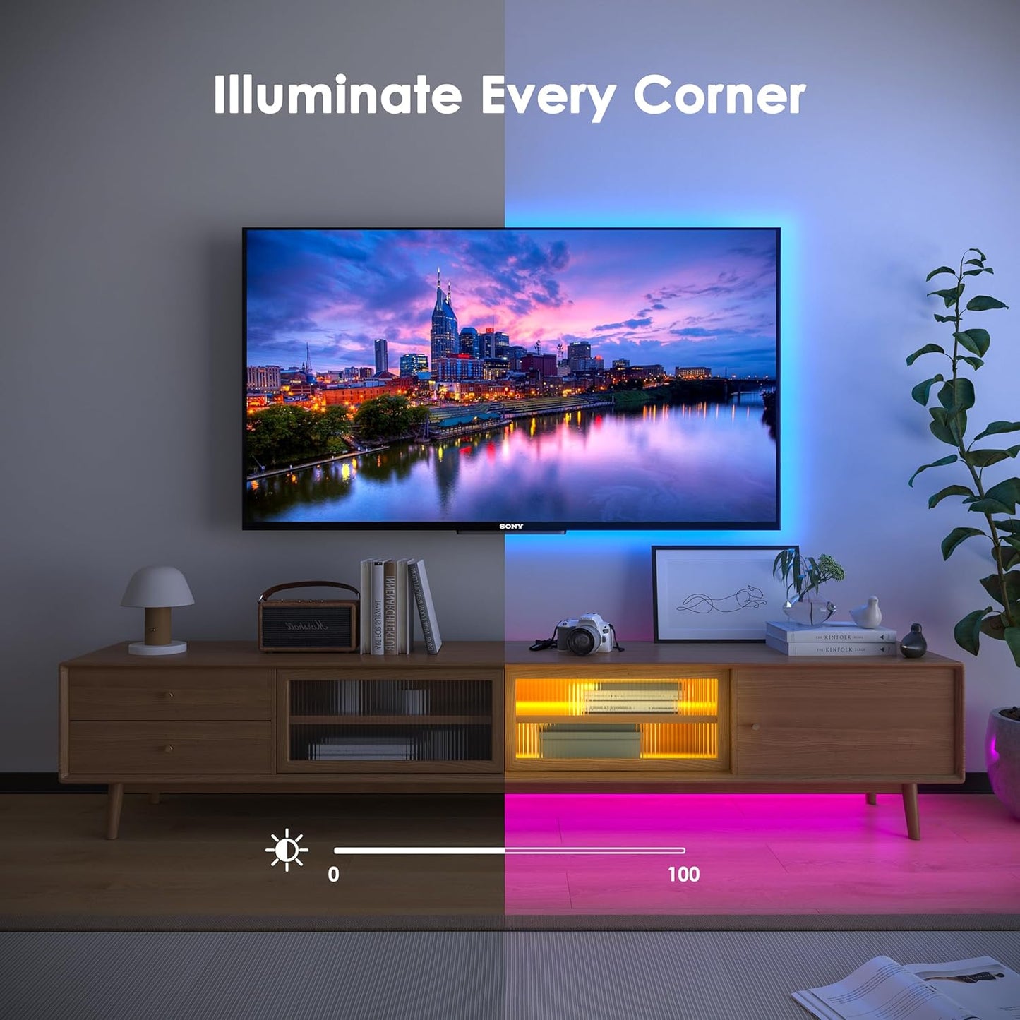 https://m.media-amazon.com/images/I/81rzO2xxgvL._AC_SL1500_.jpg