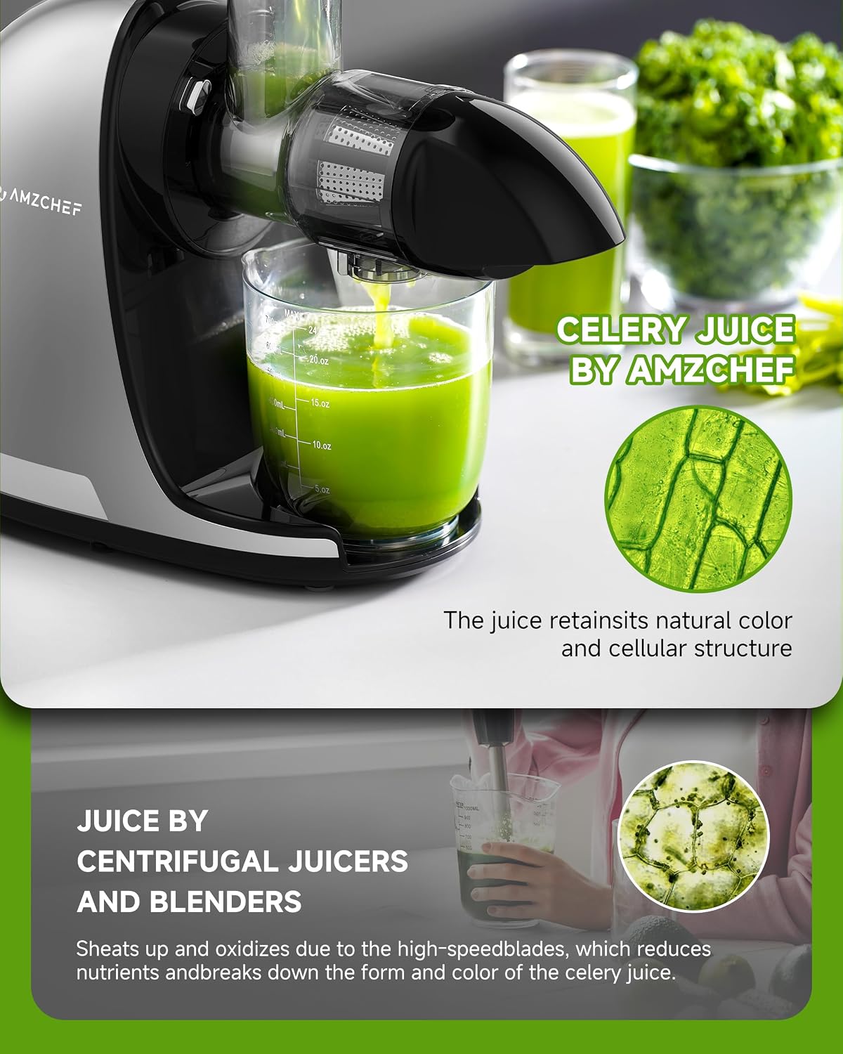 Amzchef ZM1501 Slow Juicer – Affordable Cold-Press Kitchen Appliance