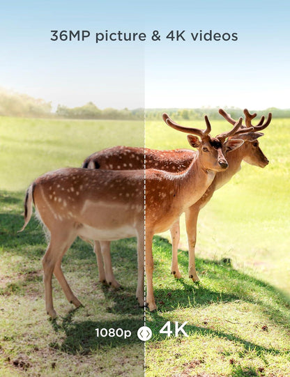CEYOMUR 4K UHD 36MP Trail Camera with Night Vision & Motion Activation - Gomix Brands Outlet