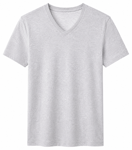 LIVERGY Men’s V-Neck Basic T-Shirt