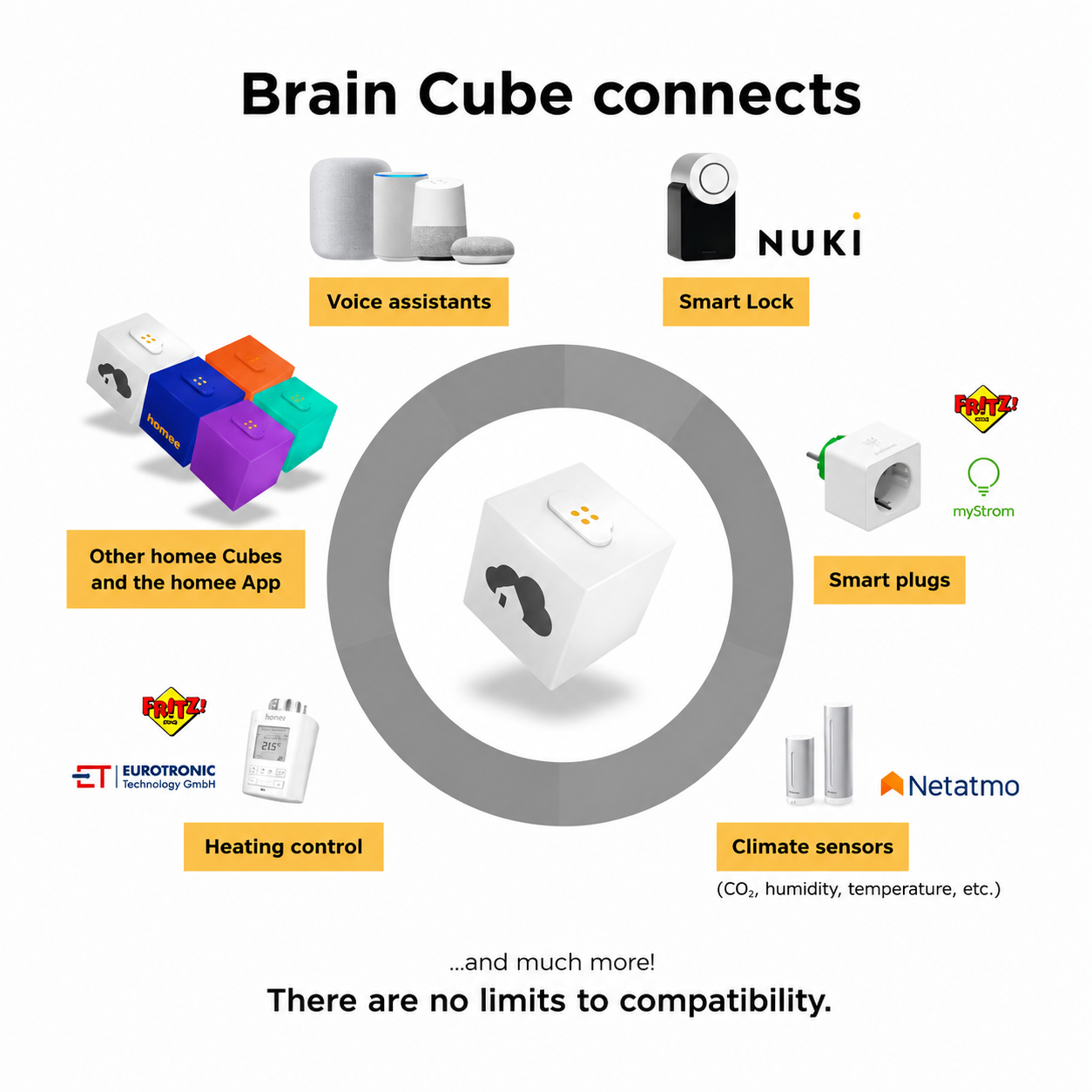Homee Smart Home Hub Local Storage 5cm Cube