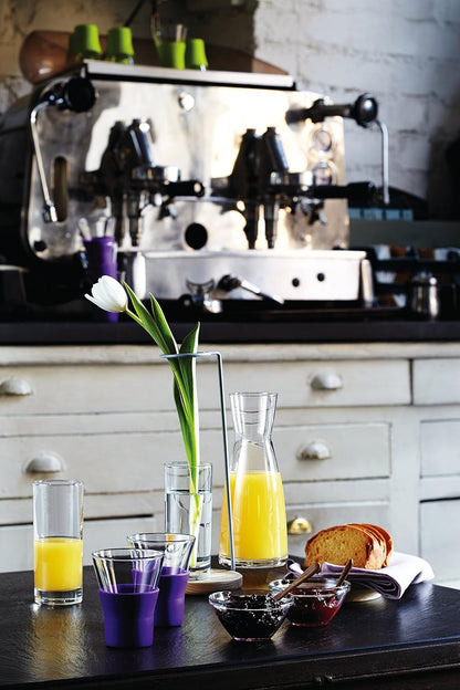 Bormioli Rocco Ypsilon 9.5 oz Clear Glass Carafe