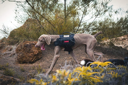 OneTigris Waterproof Dog Raincoat – Durable Nylon Pack for Small to Large Breeds