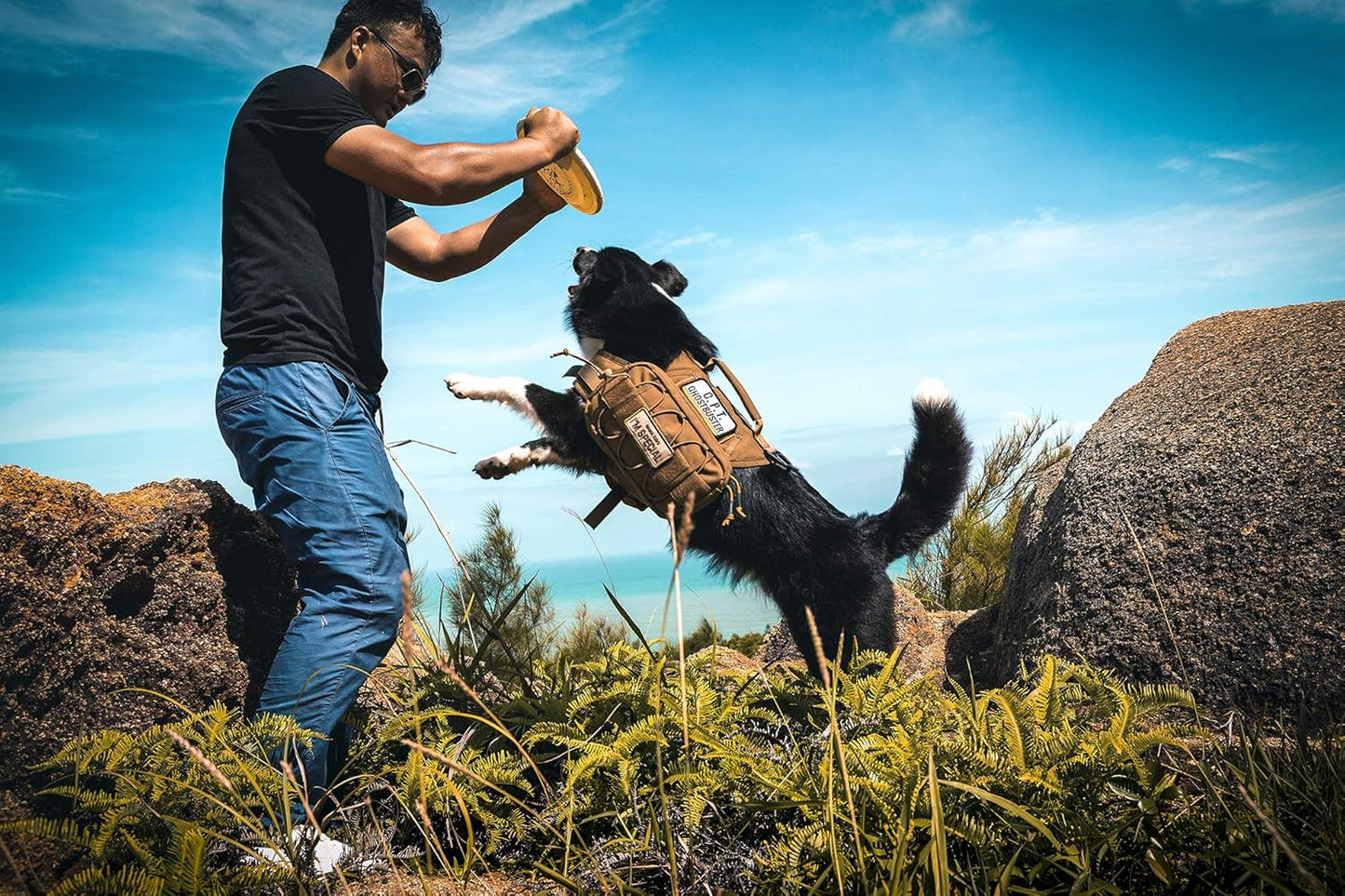 OneTigris Waterproof Dog Raincoat – Durable Nylon Pack for Small to Large Breeds