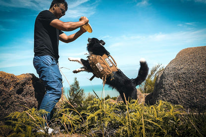 OneTigris Waterproof Dog Raincoat – Durable Nylon Pack for Small to Large Breeds