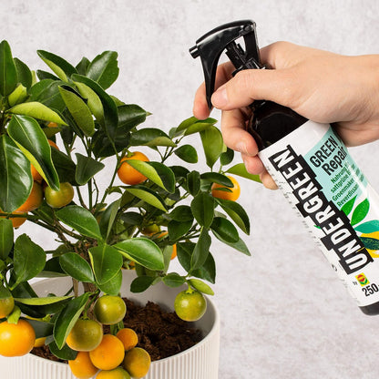 UNDERGREEN by Compo 28311 Green Repair Anti-Chlorosis Spray 250 ml