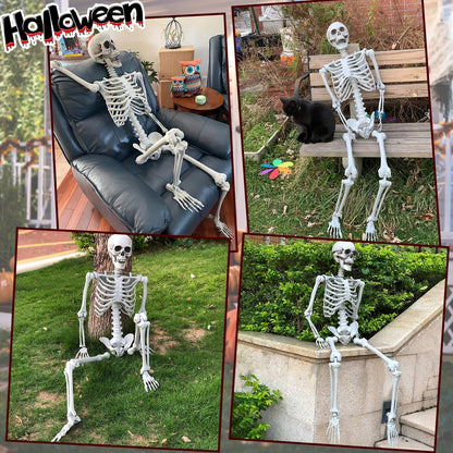 Life Size Halloween Skeleton Decor