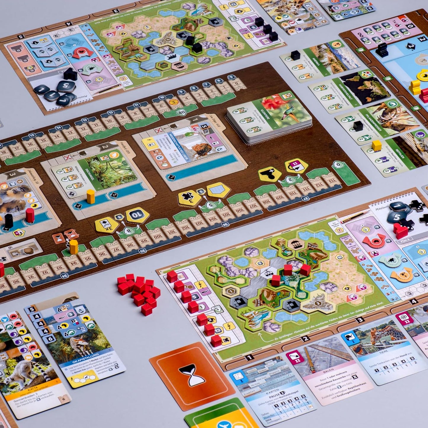 Feuerland Spiele Arch Nova (Spiel)