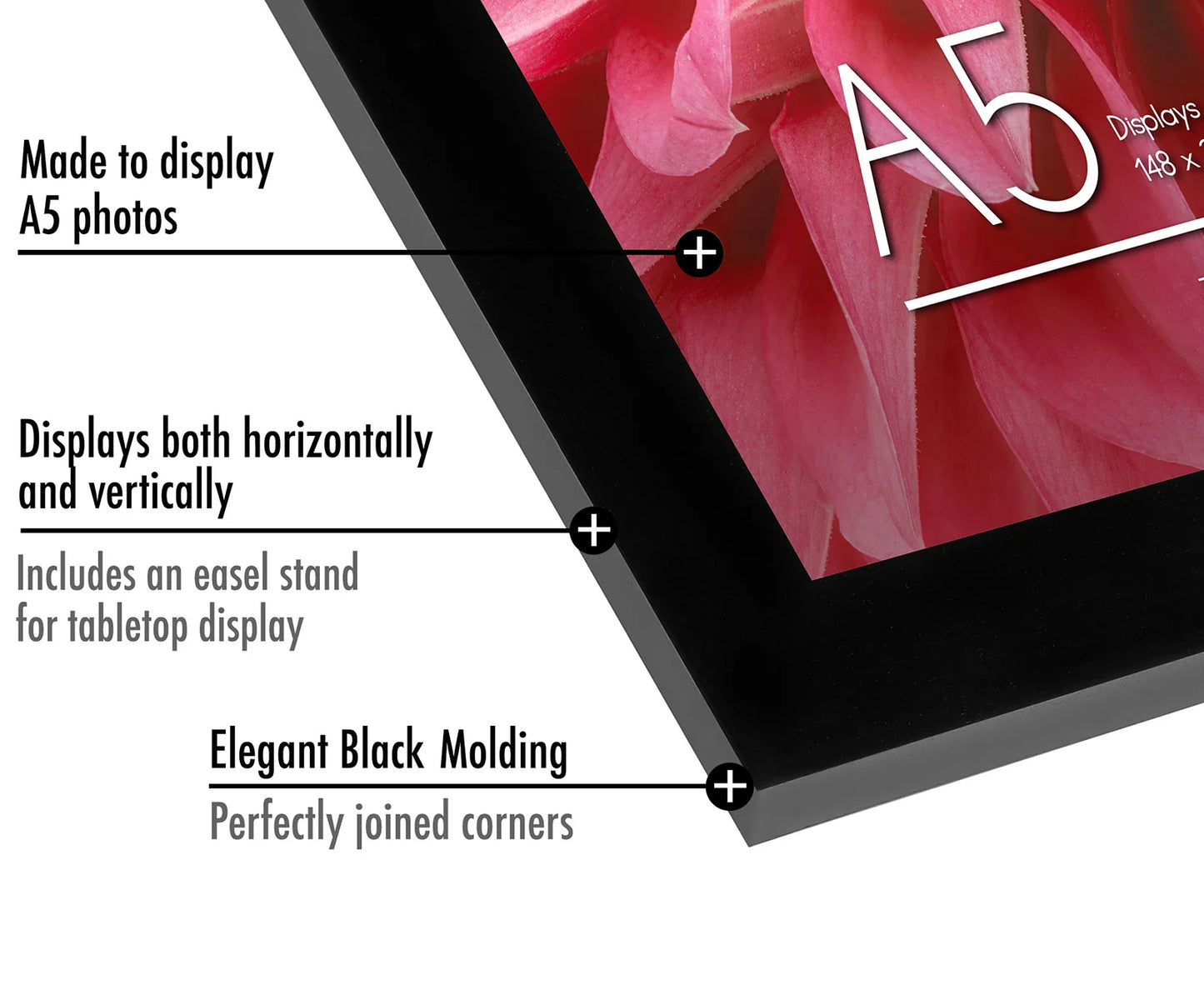 Black 2-Pack A-Size Picture Frame Set for A5