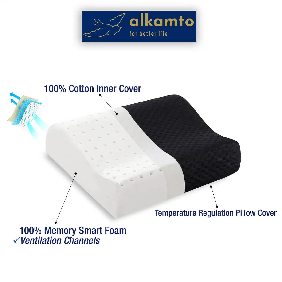 https://alkamto.com/wp-content/uploads/2024/06/ALK00T2400001-5.webp