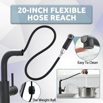 Matte Black Bar Sink Faucet with Pull-Out Sprayer