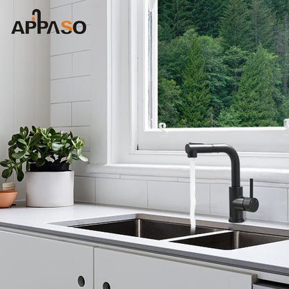 Matte Black Bar Sink Faucet with Pull-Out Sprayer