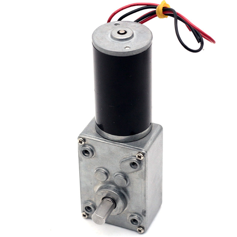 Aslong 5840-31ZY Brushed High Torque DC Worm Gear Reduction Motor 12V 80rpm 1:100 Ratio