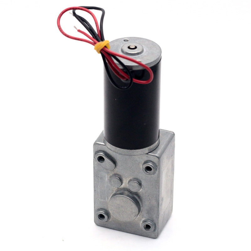Aslong 5840-31ZY Brushed High Torque DC Worm Gear Reduction Motor 12V 80rpm 1:100 Ratio