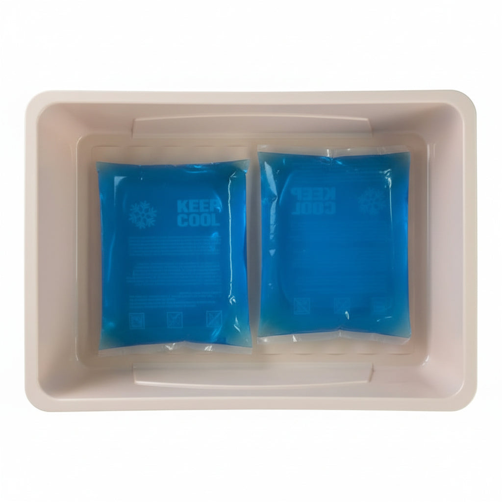 Livarno Home Cooling Container with Ice Packs 29.7 x 11.5 x 43.5 cm