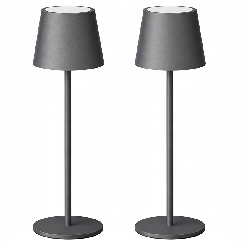Howskys 2-Pack Wireless LED Dimmable Table Lamp