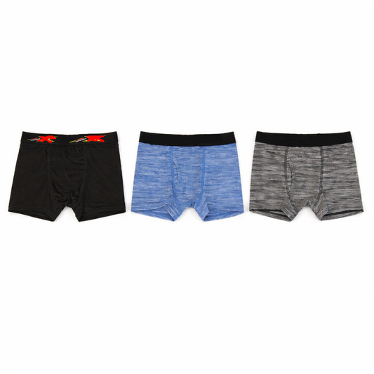 Hanes X-Temp Boxer Briefs 3Pack Boys