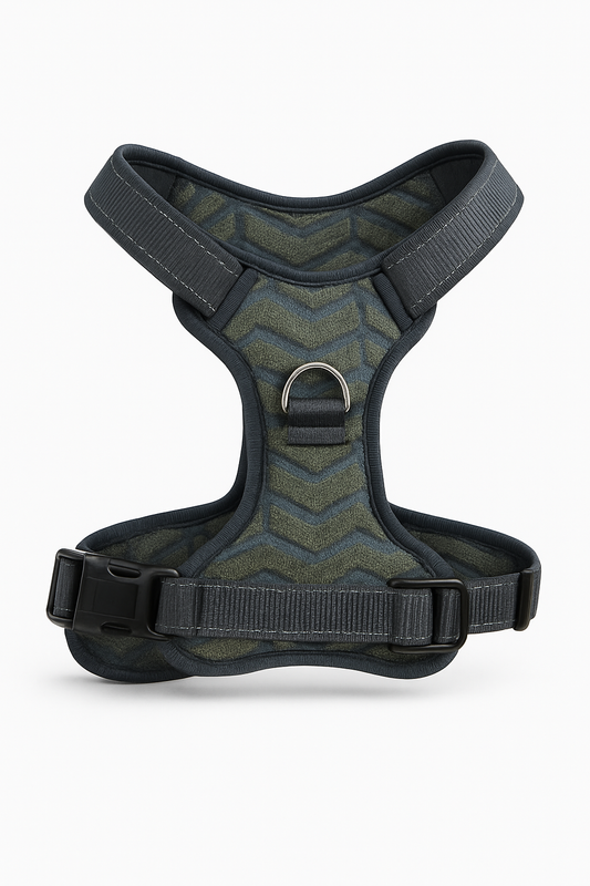 Dog harness with chevron pattern on a white background