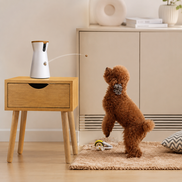 Furbo 160°  Dog Camera